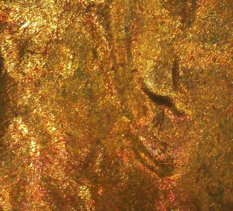 Need-Opinion-On-1958-Cent
